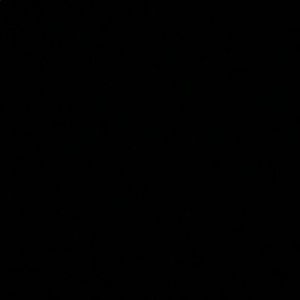 Meet your Posher, Kaley